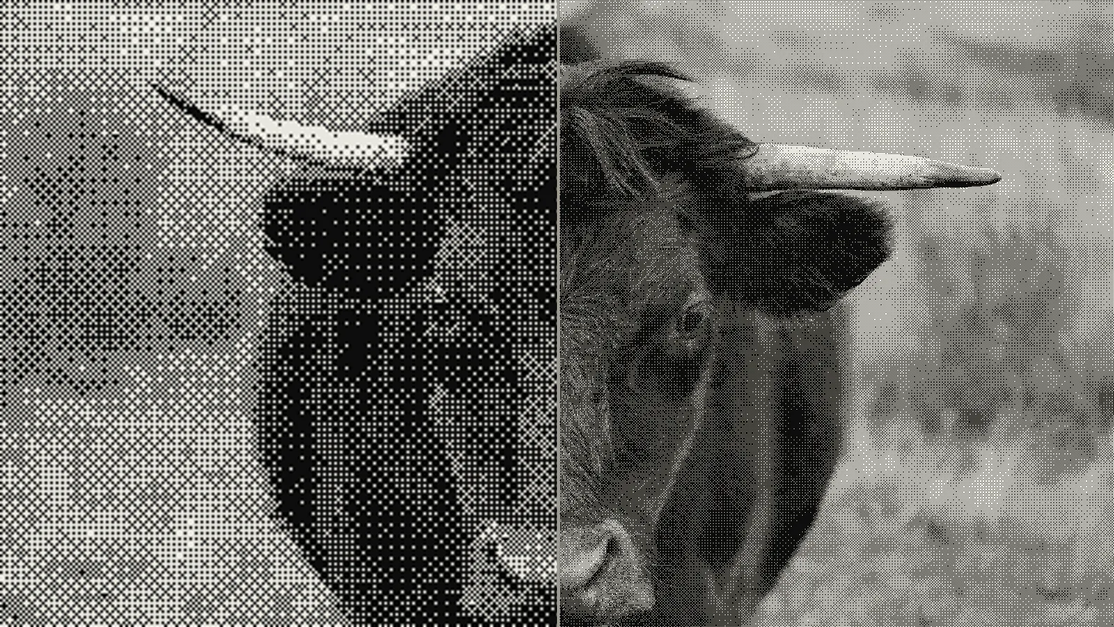 Bull photograph in 8x8 Bayer dithering upscaled 4x with interpolation, the crisp pixel grid smearing into mud when render resolution doesn't match the dither pattern