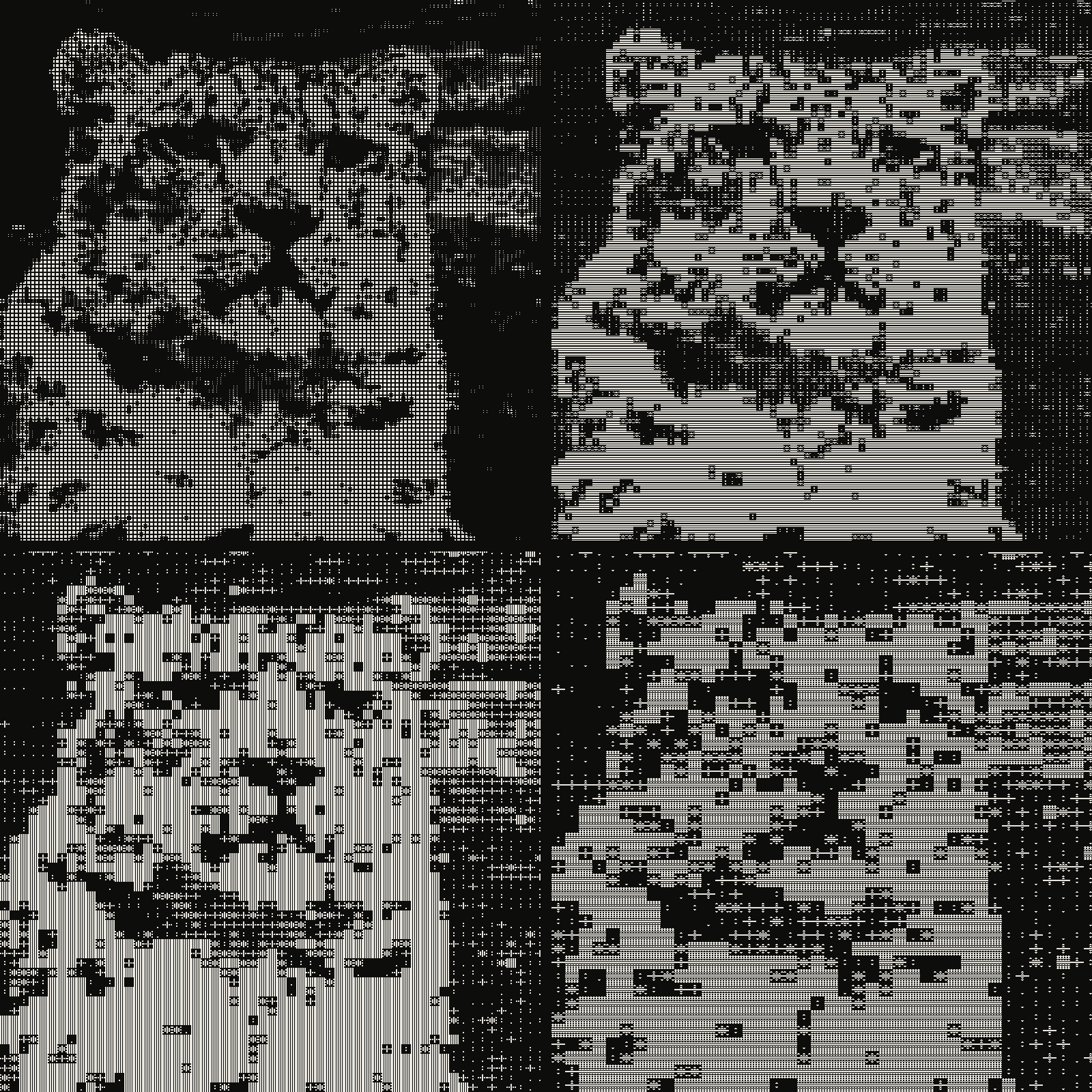 Grid of 4 crops of the same snow leopard photograph in ASCII, cell stepping cell 6px, cell 10px, cell 14px, cell 20px