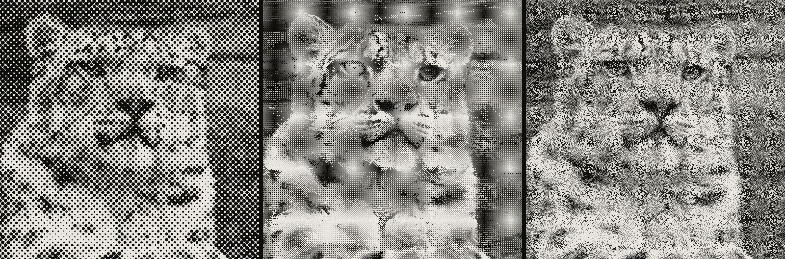 Grid of 3 renders of the same snow leopard photograph, one per algorithm: halftone, Bayer ordered dithering, blue-noise dithering