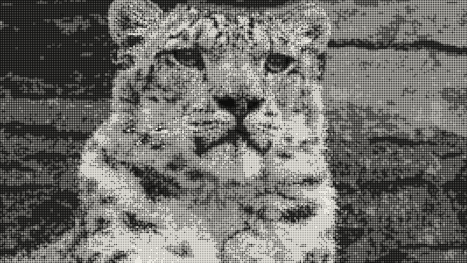 Snow leopard photograph rendered in halftone dot pattern at 6px cell size, showing a clean manga-style screentone look