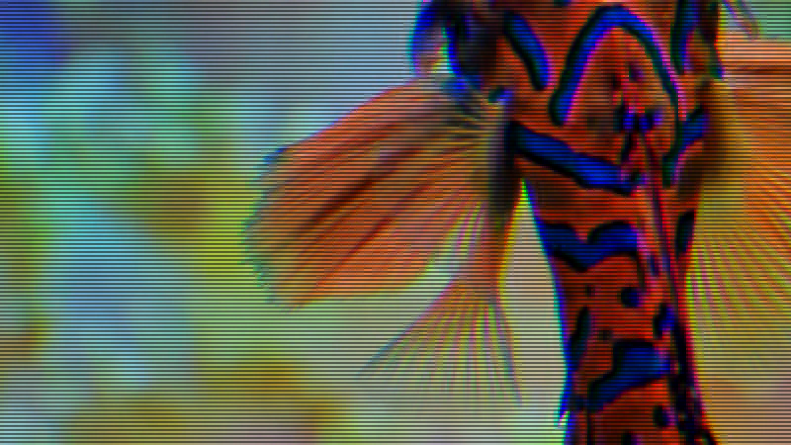 Close-up of a mandarin fish photograph in CRT phosphor at mode scanline, 2px, enlarged 4x without smoothing so each dot is visible