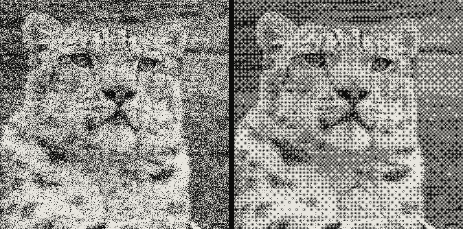 Grid of 2 renders of the same snow leopard photograph, one per algorithm: blue-noise dithering, Bayer ordered dithering