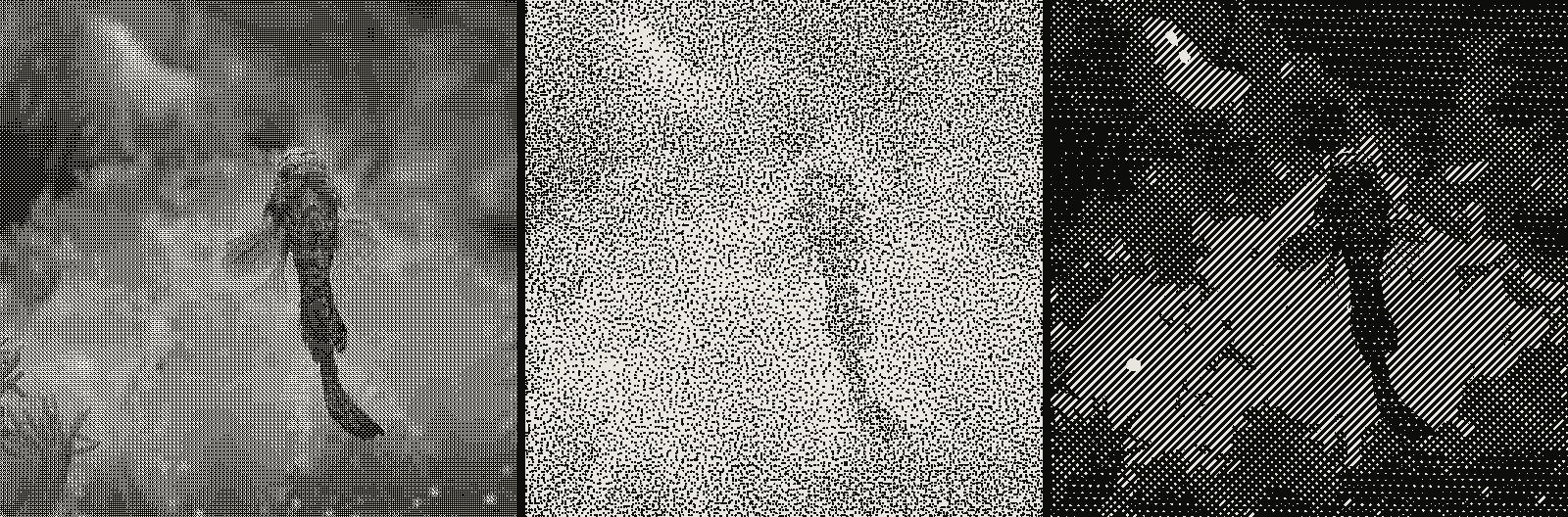 Grid of 3 renders of the same mandarin fish photograph, one per algorithm: Bayer ordered dithering, stipple, crosshatch