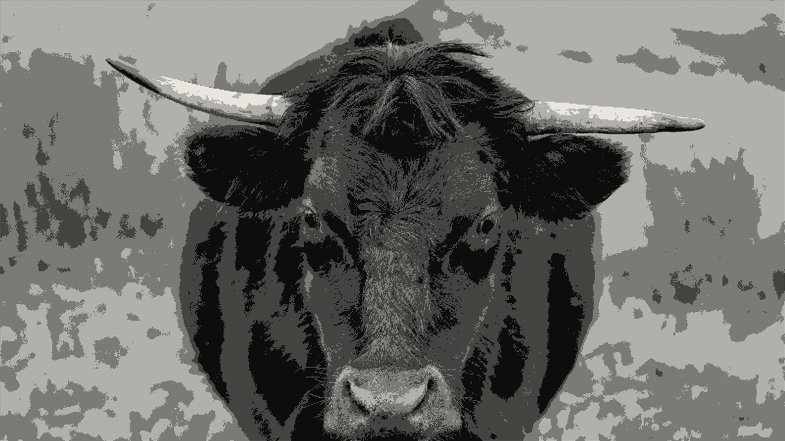 Bull photograph dithered into a hard checkerboard pattern at 2x2 Bayer matrix, the same pattern drawn by hand in Procreate