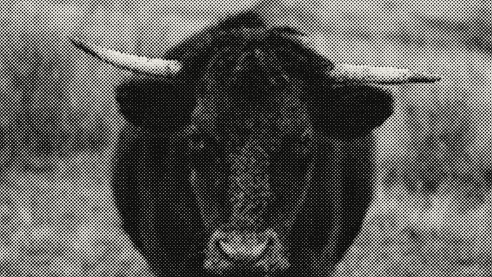 Bull photograph rendered in halftone at cell 8px, angle 0°, shape circle