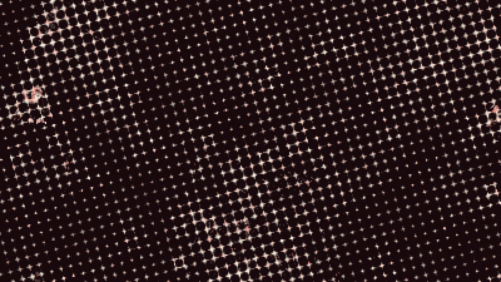 Bull photograph in the riso look cropped at 400 percent, showing individual halftone dots and ink overlap