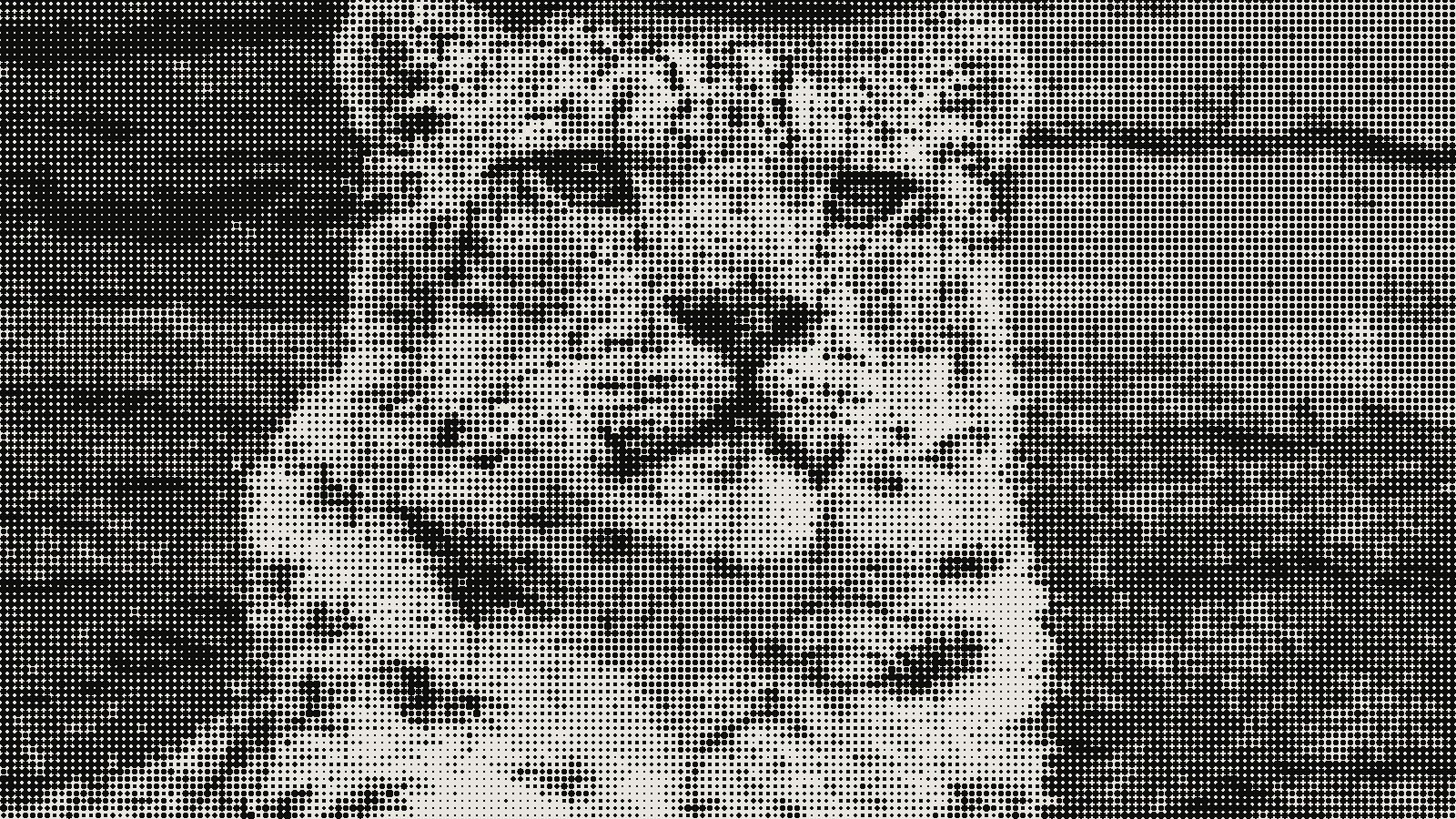 Snow leopard photograph in kott's halftone effect at 8px cells and a 45 degree angle, dot size changing with tone