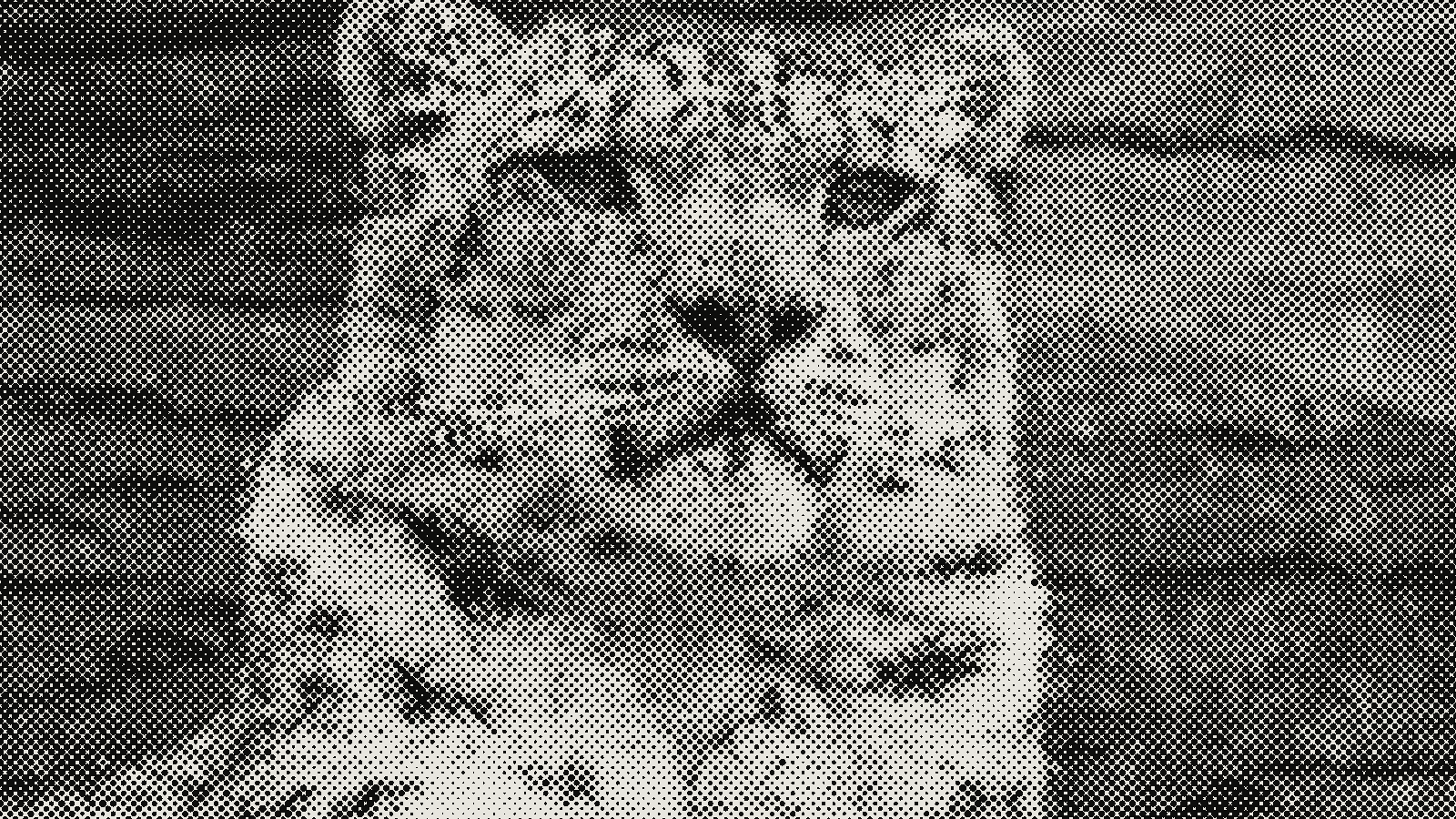 Snow leopard photograph rendered in halftone at cell 8px, angle 0°, shape circle
