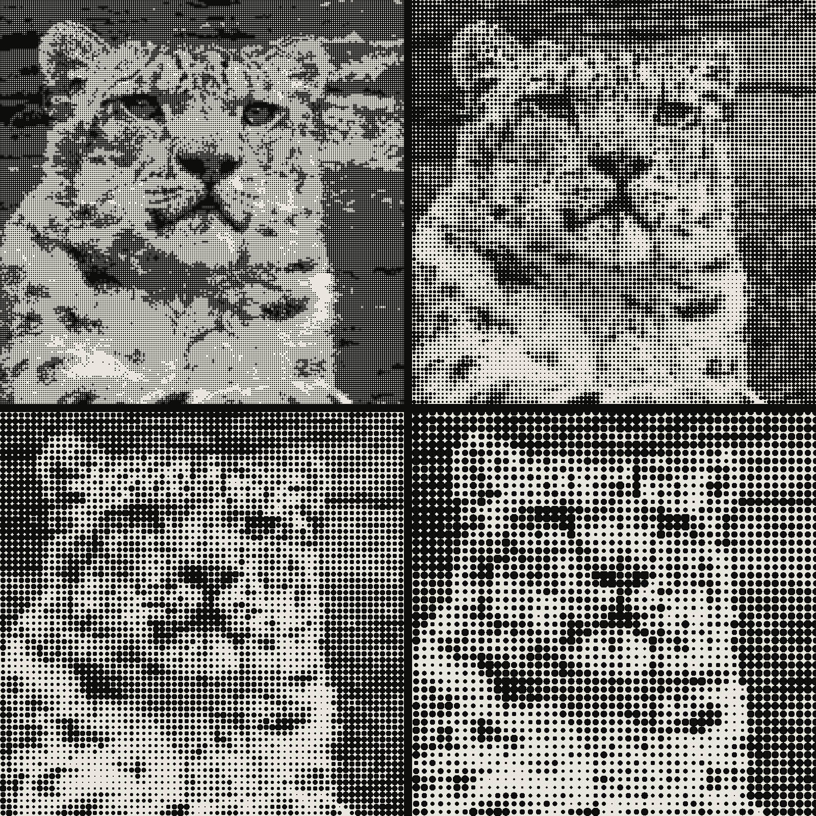 Grid of 4 crops of the same snow leopard photograph in halftone, cell stepping cell 4px, cell 8px, cell 12px, cell 16px