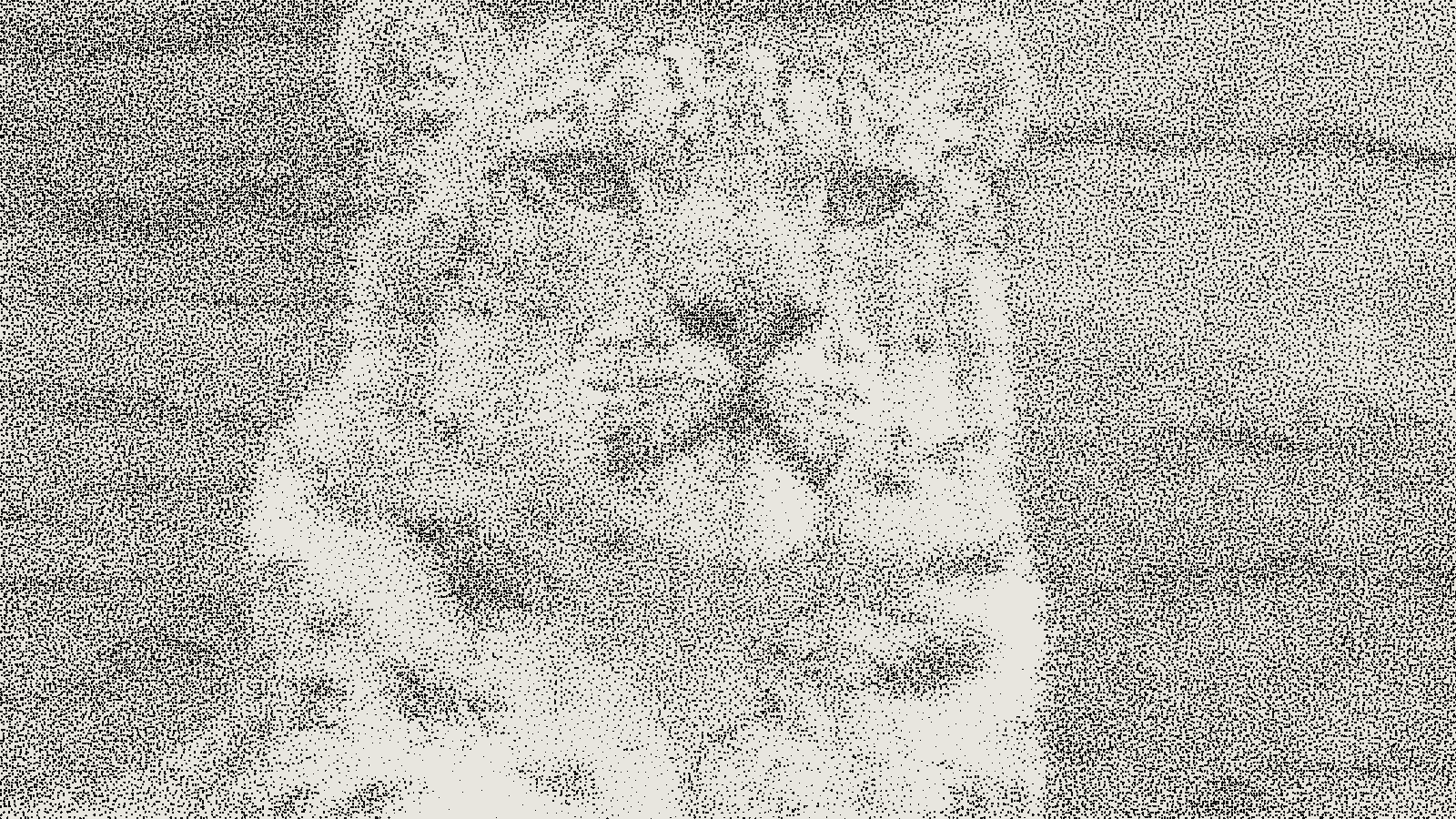 Snow leopard photograph rendered in stipple at scale 3px, threshold 0.50, dot size 1.3