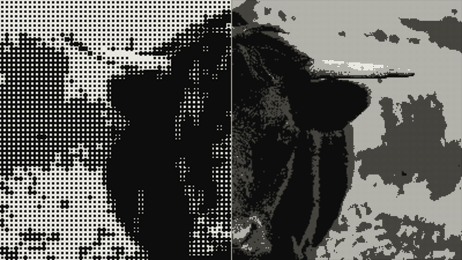 Bull photograph with 4px halftone enlarged four times, showing the grain turning to mud
