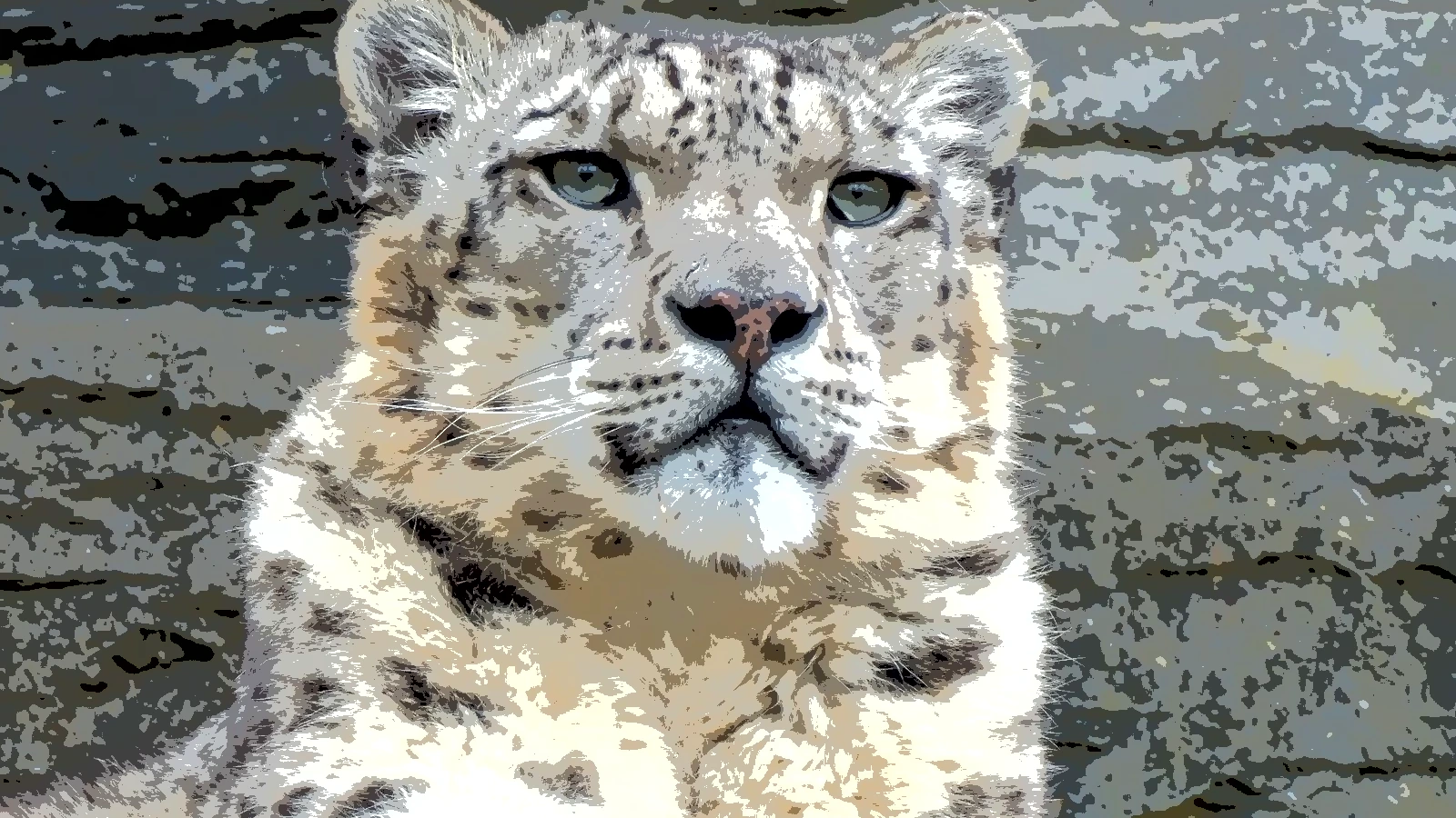 Snow leopard photograph posterized to a few flat tones, the hard-threshold base of a photocopy look