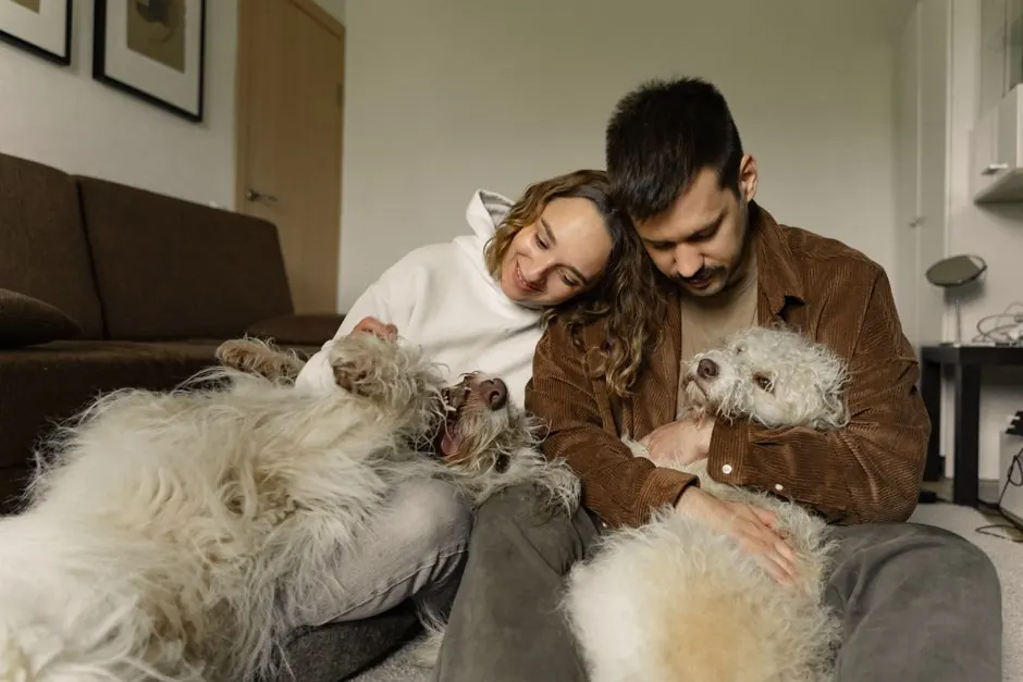 A smiling couple sitting on the living room floor cuddling two fluffy white dogs.