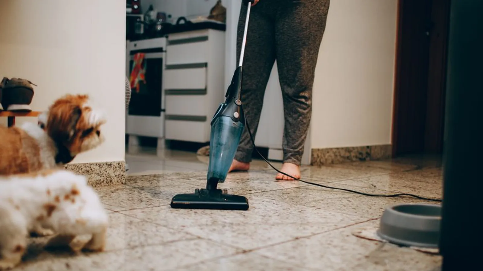 Person vacuuming a tiled kitchen floor at home while two small dogs watch, with a food bowl at the edge of the frame.