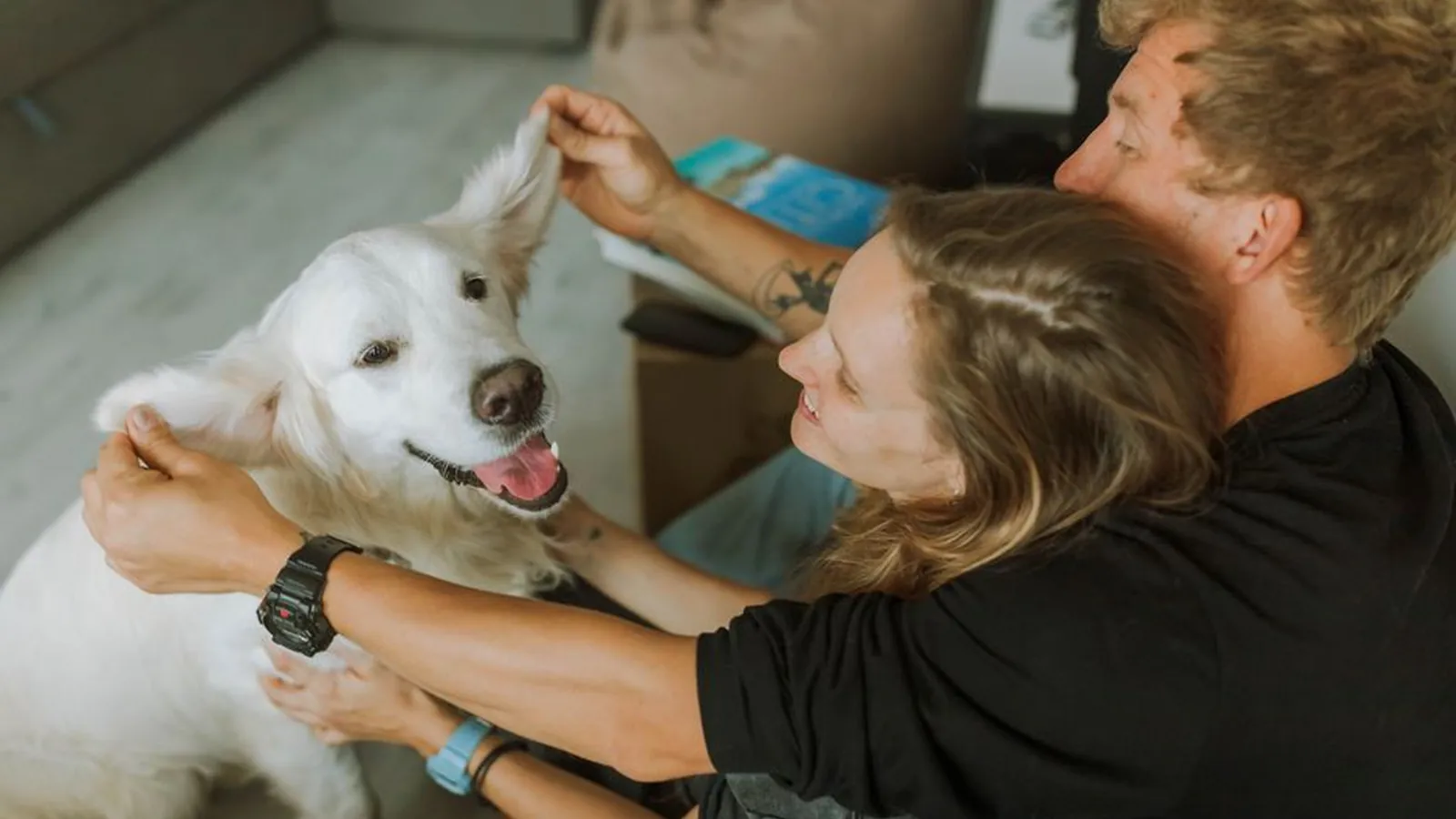 Two people sitting on the floor of a living room, gently petting a white dog that looks up at them.