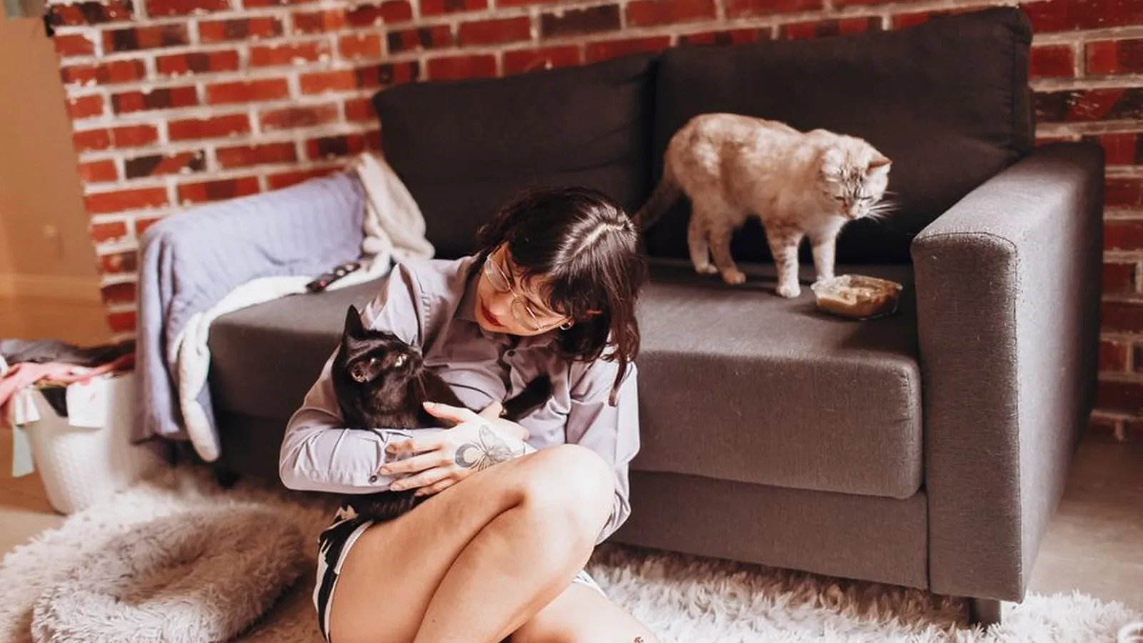 A woman sits on a rug holding a black cat while a second cat stands on the sofa beside a small food dish.