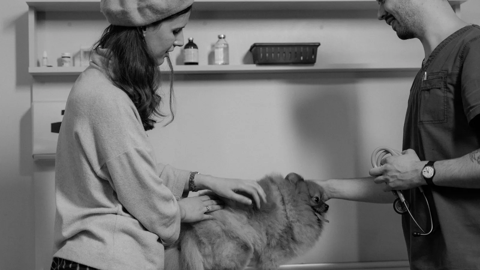 A pet owner and a veterinarian examine a fluffy Pomeranian in a clinic, in black and white.
